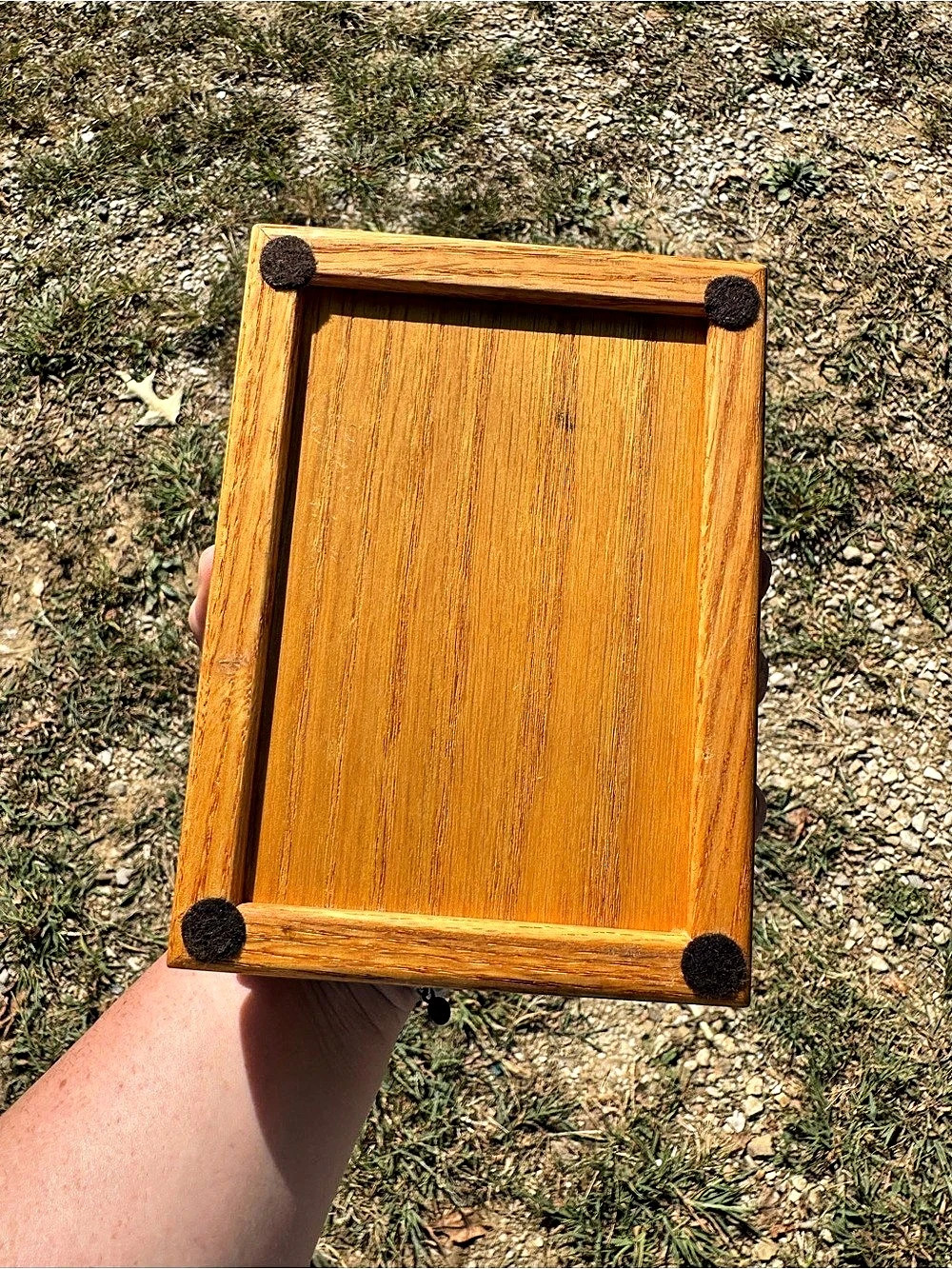 Vintage Framed Cardinal Bird wooden box - Picture 4 of 4